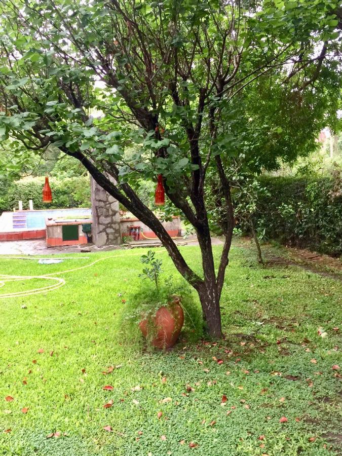 Casa De Huespedes El Trebol De Ezeiza Guest House La Union Ngoại thất bức ảnh